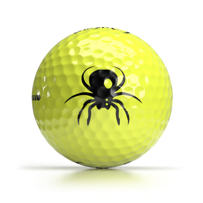 Shop OnCore's Halloween Logo Golf Balls Online - Scary Spider Golf Ball