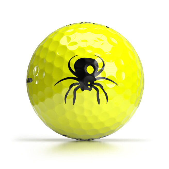 Shop OnCore's Halloween Logo Golf Balls Online - Scary Spider Golf Balls