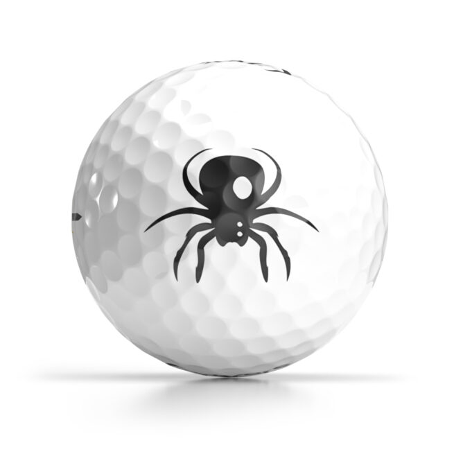 Shop OnCore's Halloween Logo Golf Balls - Scary Spider Golf Ball